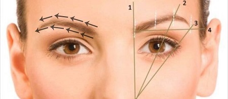 مراحل کاشت ابرو